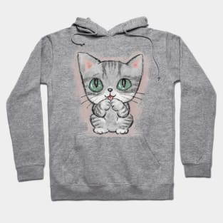 American Shorthair kitten is embarrassed Hoodie